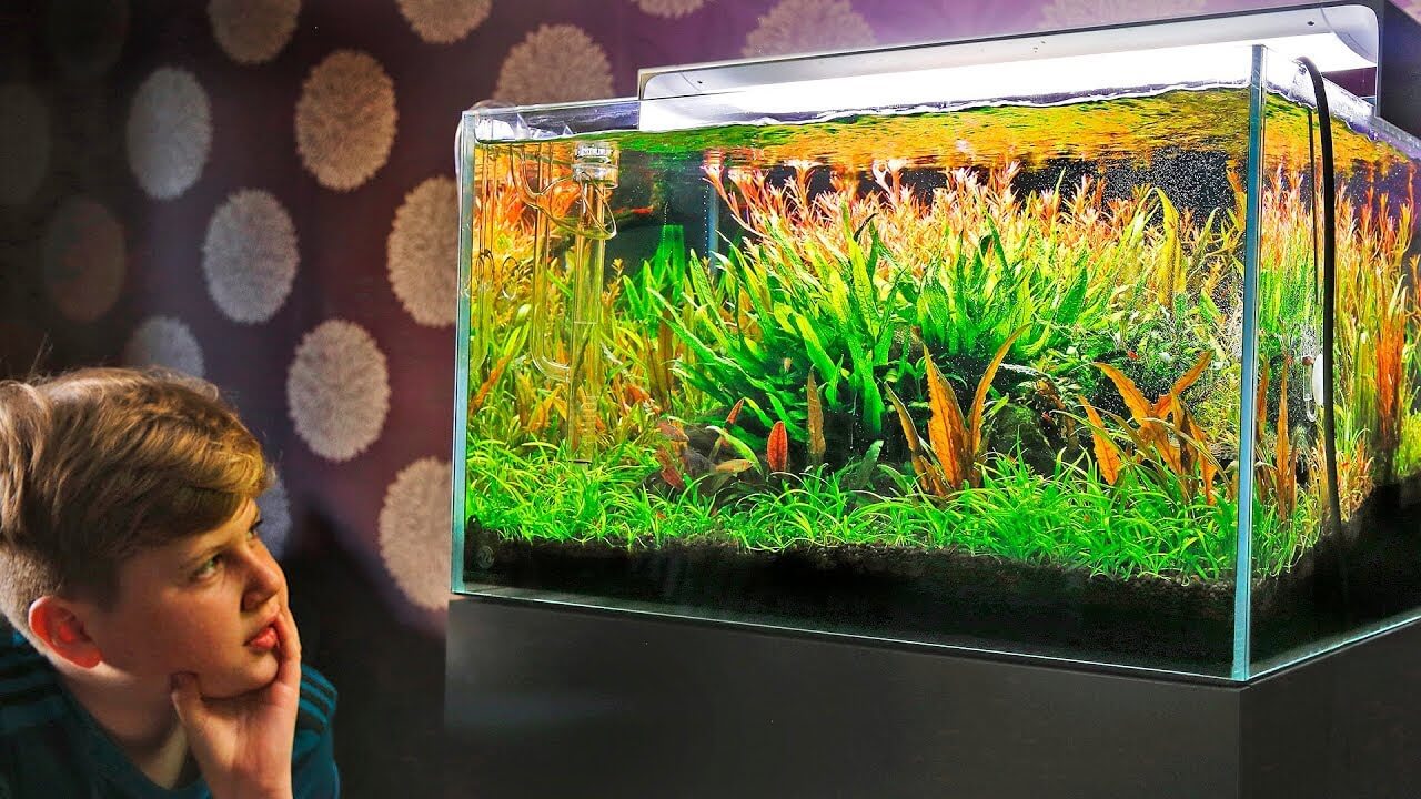 Detail Desain Aquarium Bertingkat Nomer 44