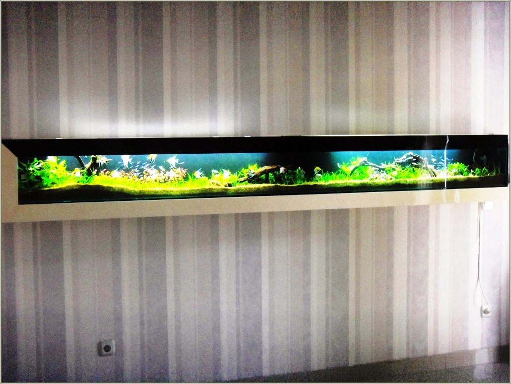 Detail Desain Aquarium Dinding Nomer 24