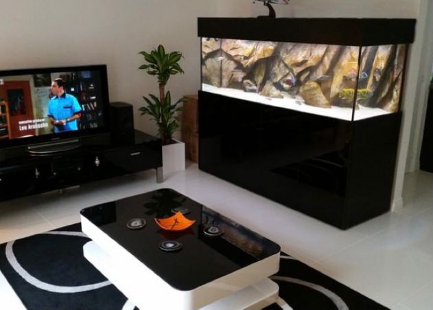 Detail Desain Aquarium Dinding Nomer 35