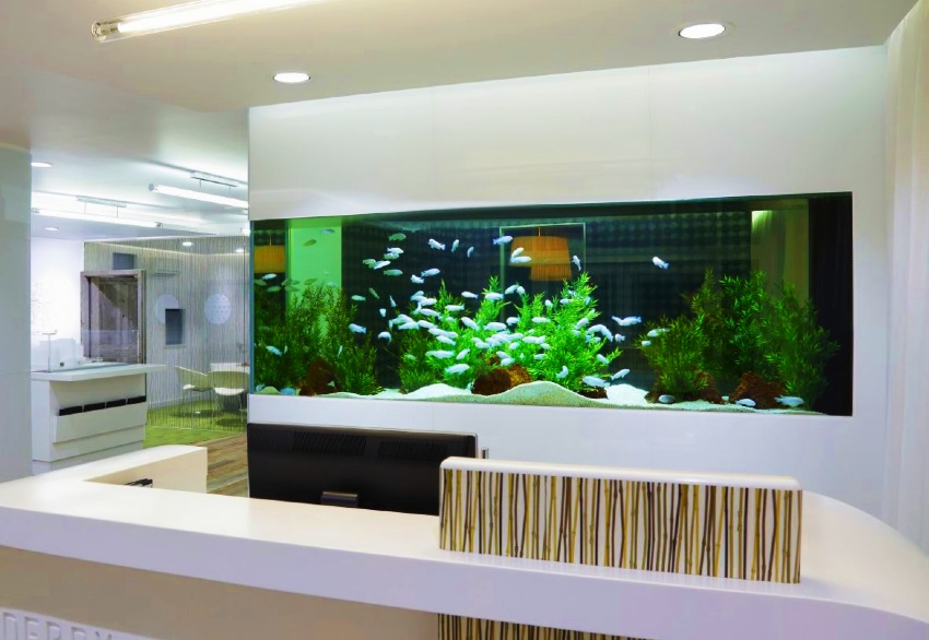 Detail Desain Aquarium Dinding Nomer 5