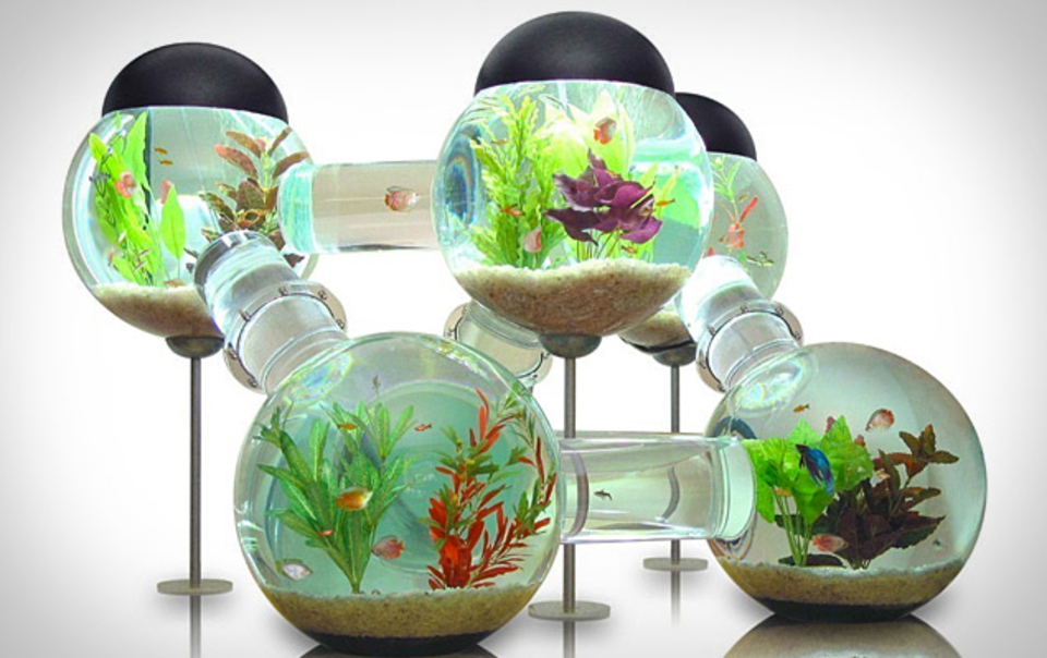 Detail Desain Aquarium Dinding Nomer 37