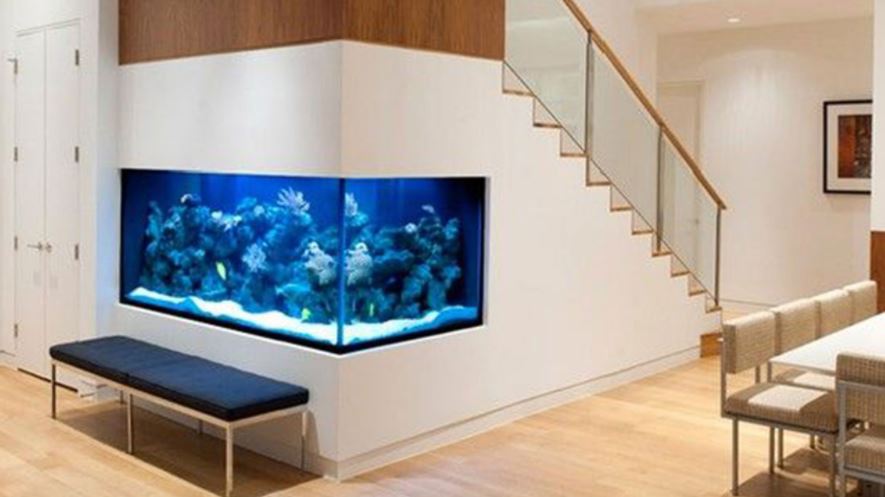 Detail Desain Aquarium Dinding Nomer 43