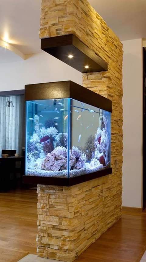 Detail Desain Aquarium Dinding Nomer 46