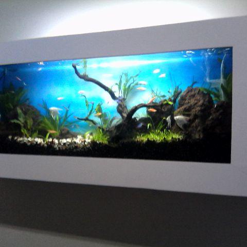 Detail Desain Aquarium Dinding Nomer 53