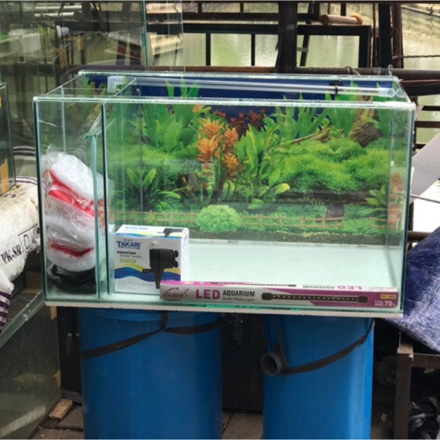 Detail Desain Aquarium Filter Belakang Nomer 16