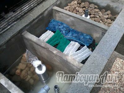 Detail Desain Aquarium Filter Belakang Nomer 19