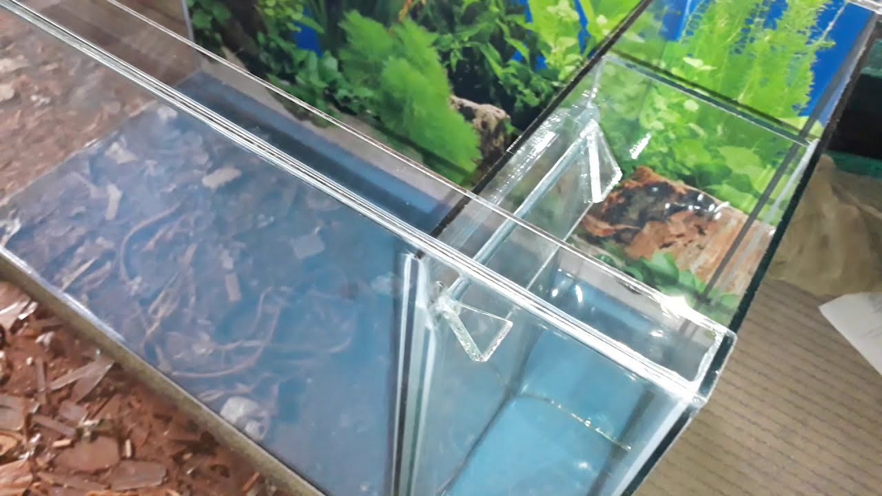 Detail Desain Aquarium Filter Belakang Nomer 3