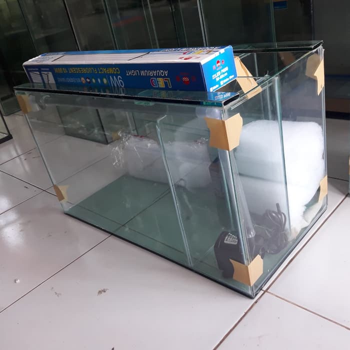 Detail Desain Aquarium Filter Belakang Nomer 24