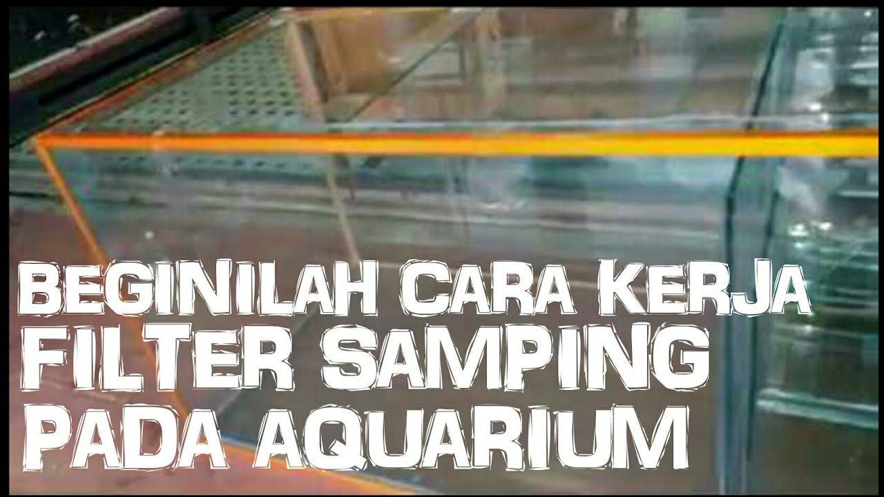 Detail Desain Aquarium Filter Belakang Nomer 33