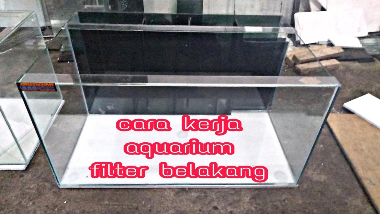 Detail Desain Aquarium Filter Belakang Nomer 38