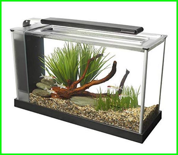 Detail Desain Aquarium Filter Belakang Nomer 44