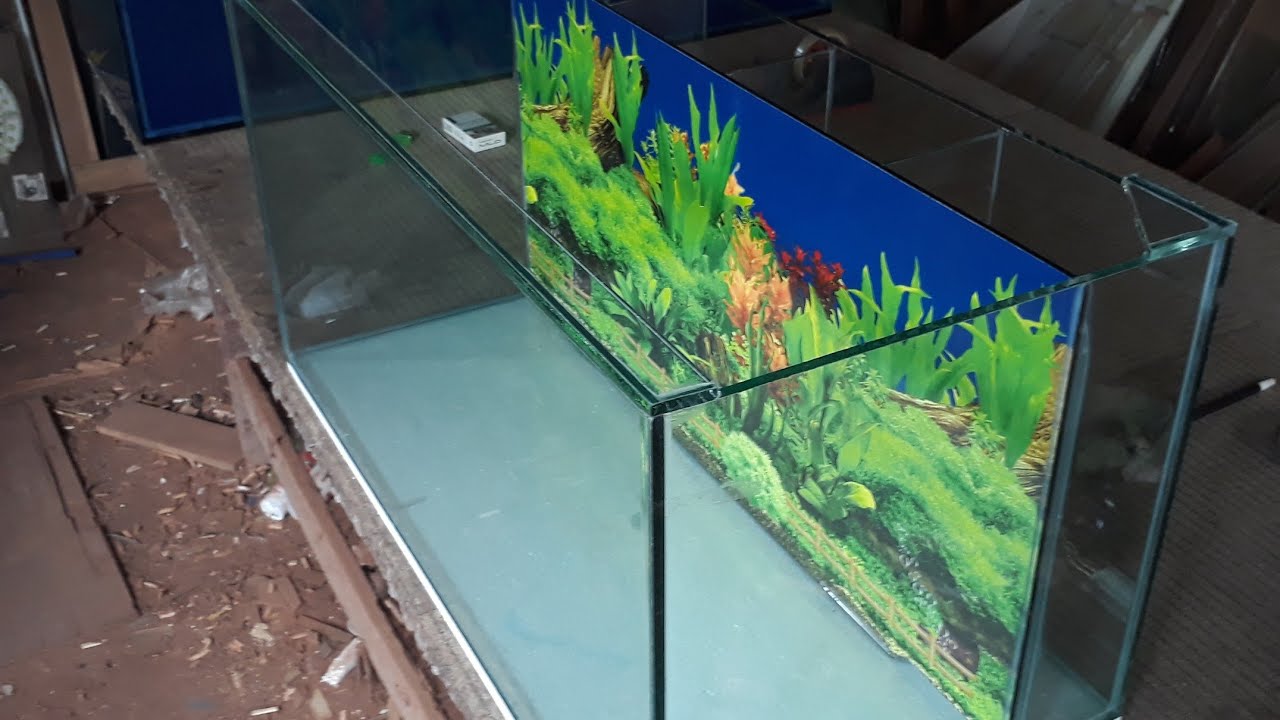 Detail Desain Aquarium Filter Belakang Nomer 6