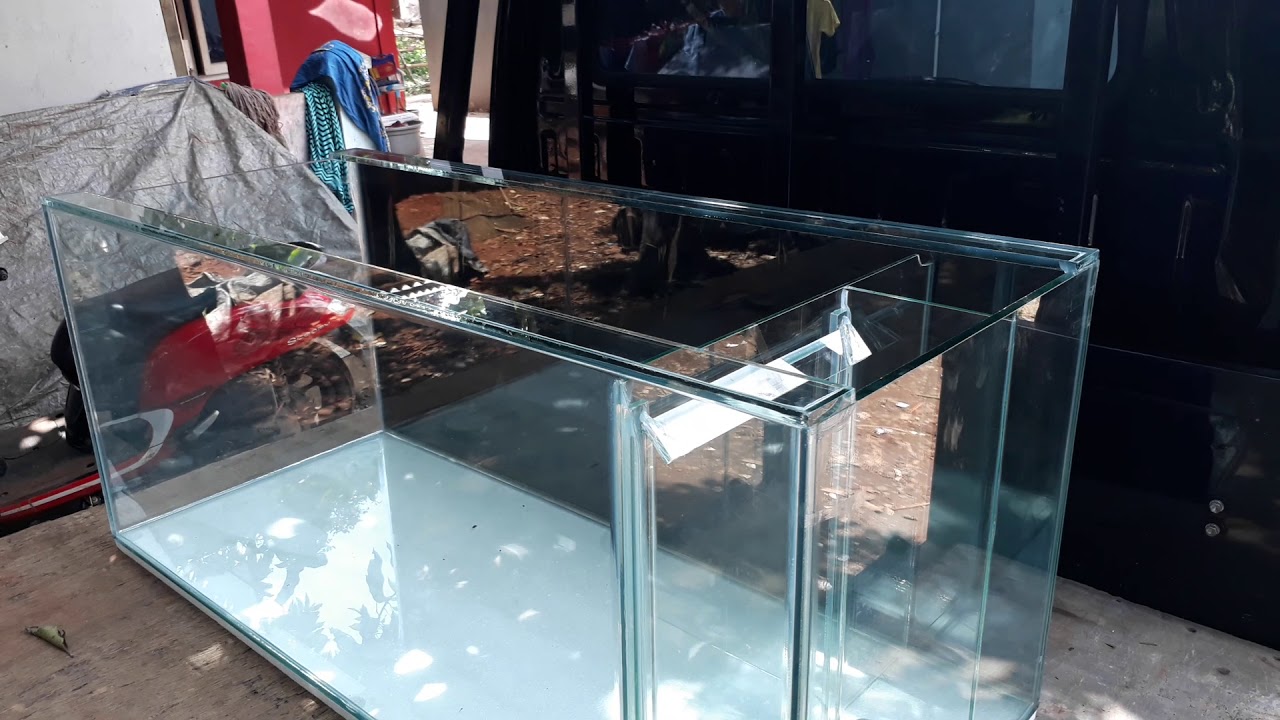 Detail Desain Aquarium Filter Belakang Nomer 7