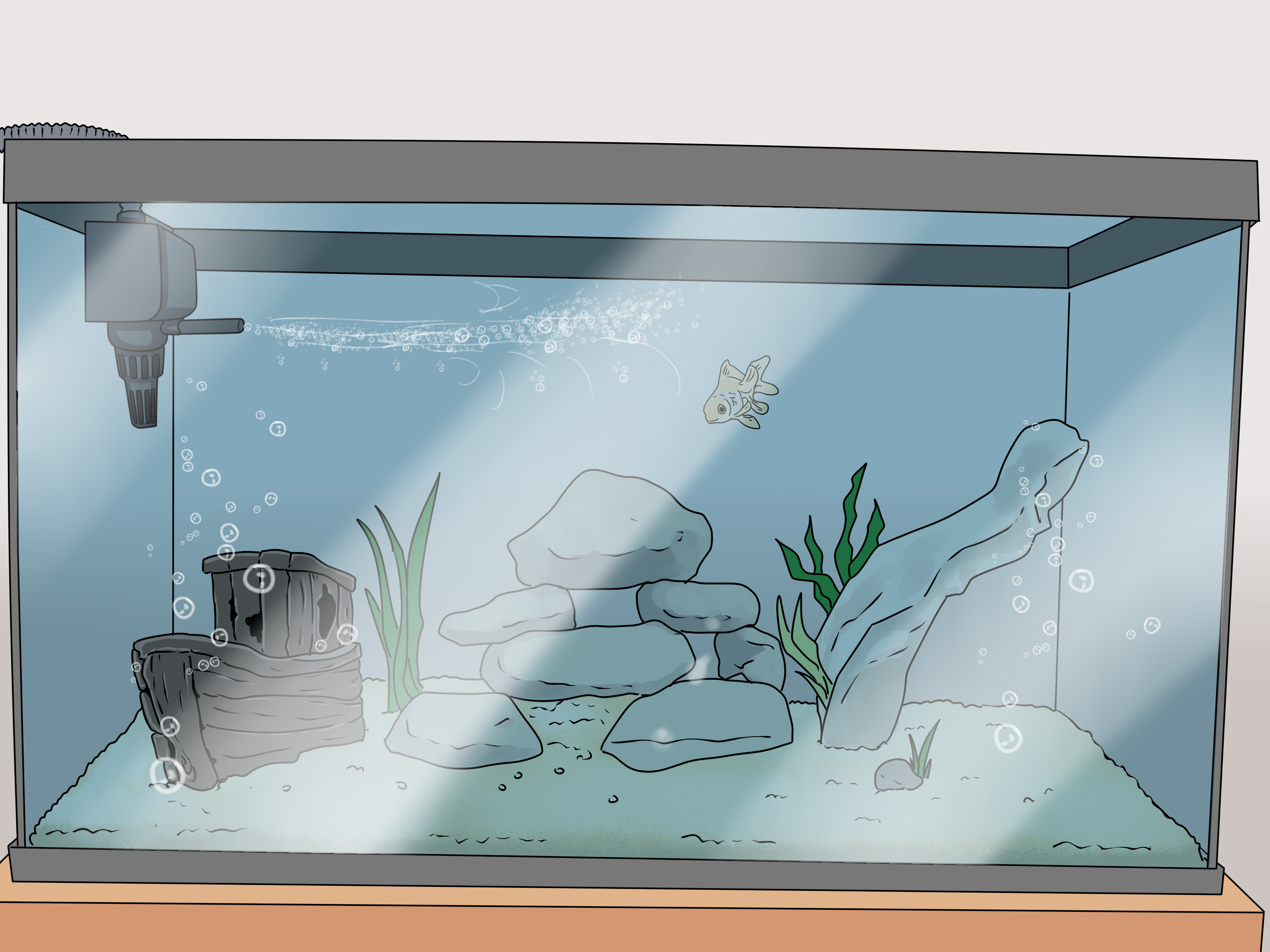 Detail Desain Aquarium Ikan Koi Nomer 23