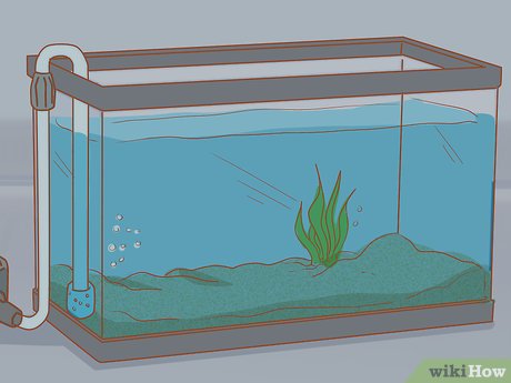 Detail Desain Aquarium Louhan Nomer 25