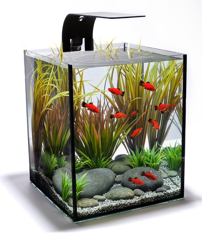 Detail Desain Aquarium Mini Nomer 12