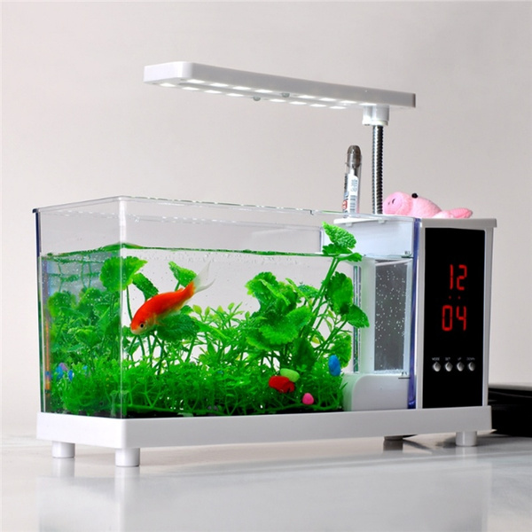 Detail Desain Aquarium Mini Nomer 22