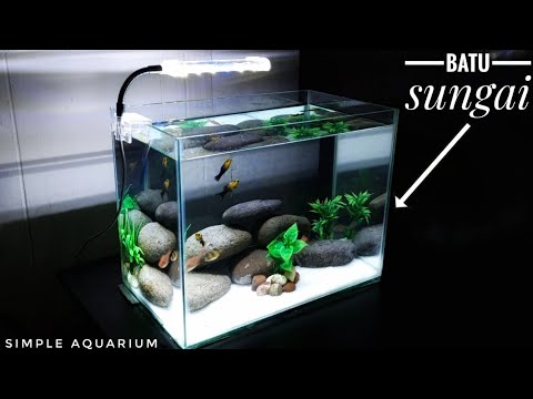 Detail Desain Aquarium Mini Nomer 23