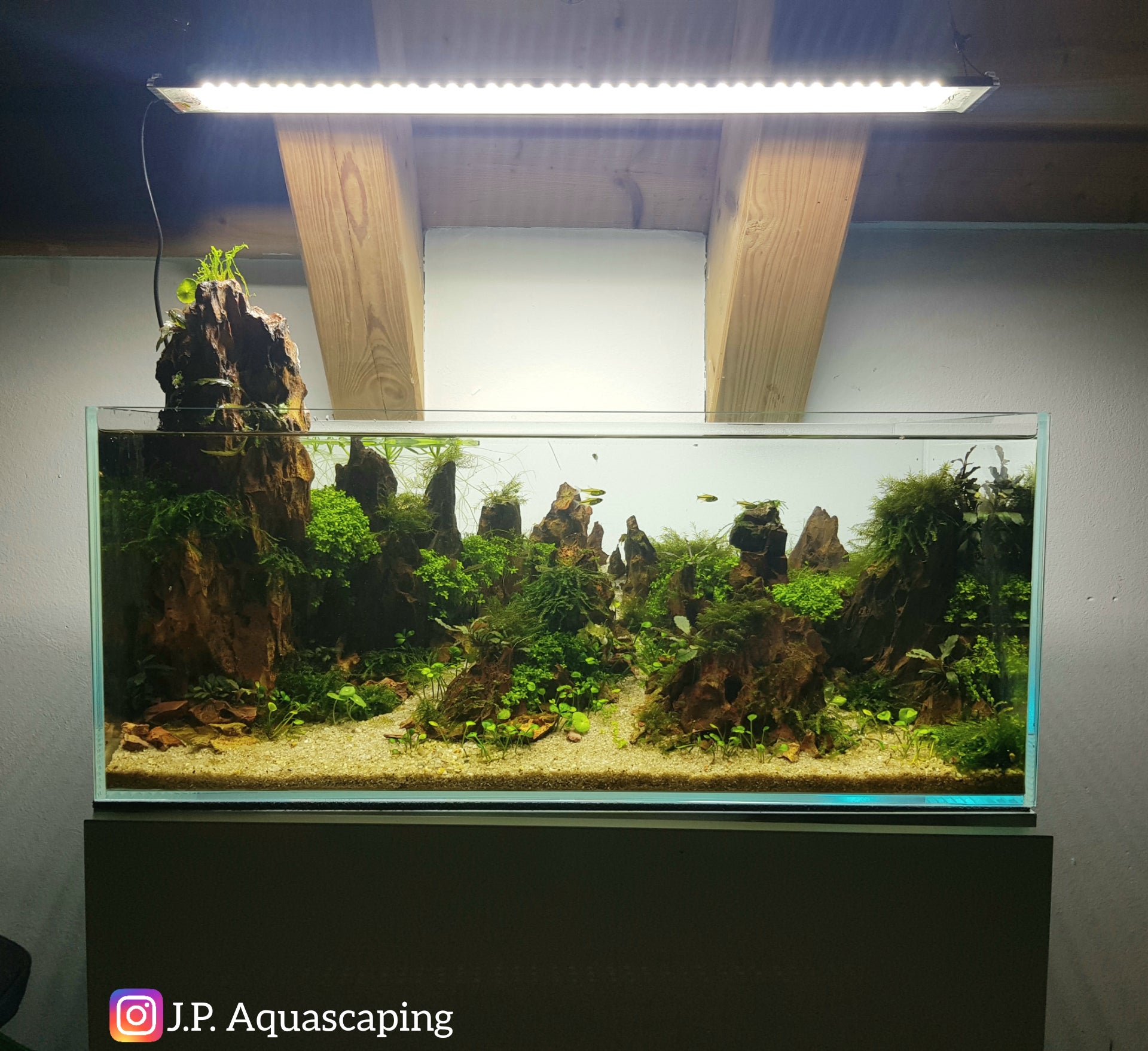 Detail Desain Aquarium Mini Nomer 25