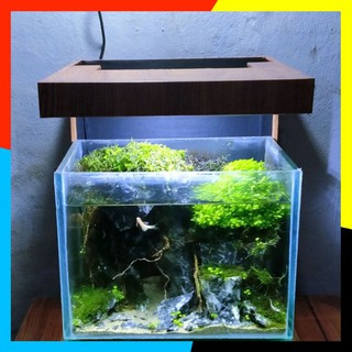 Detail Desain Aquarium Mini Nomer 29