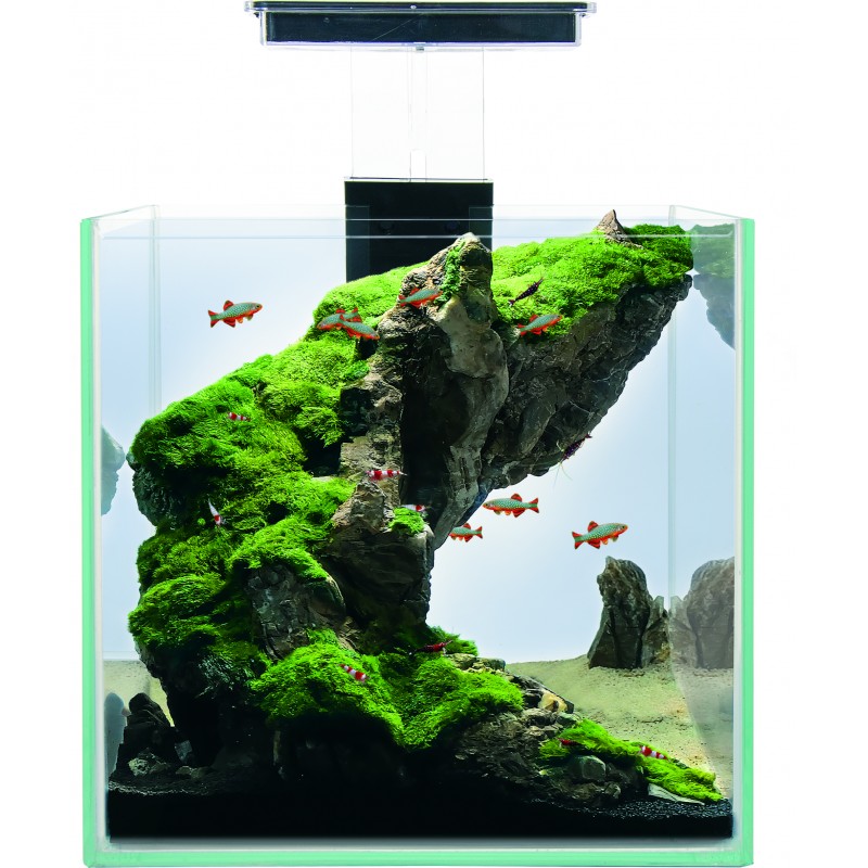 Detail Desain Aquarium Mini Nomer 49