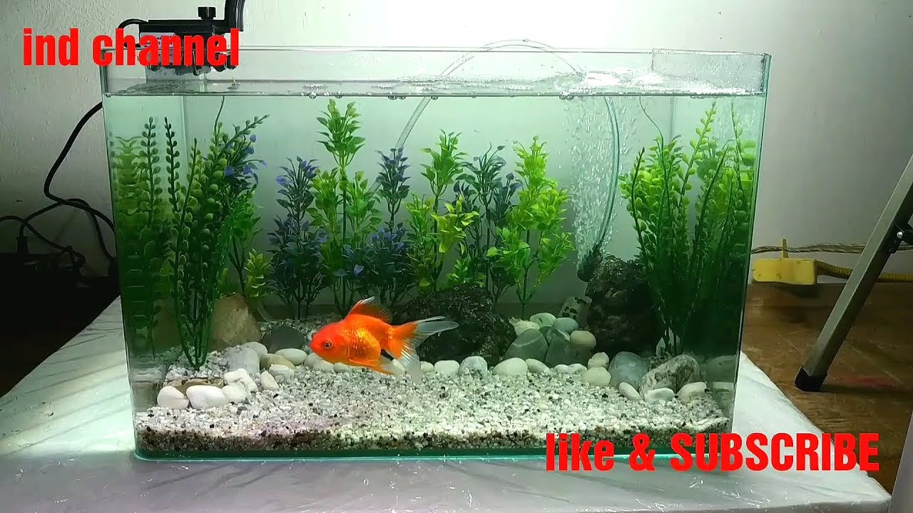 Detail Desain Aquarium Mini Nomer 8