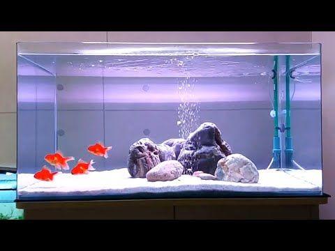 Detail Desain Aquarium Sederhana Nomer 53