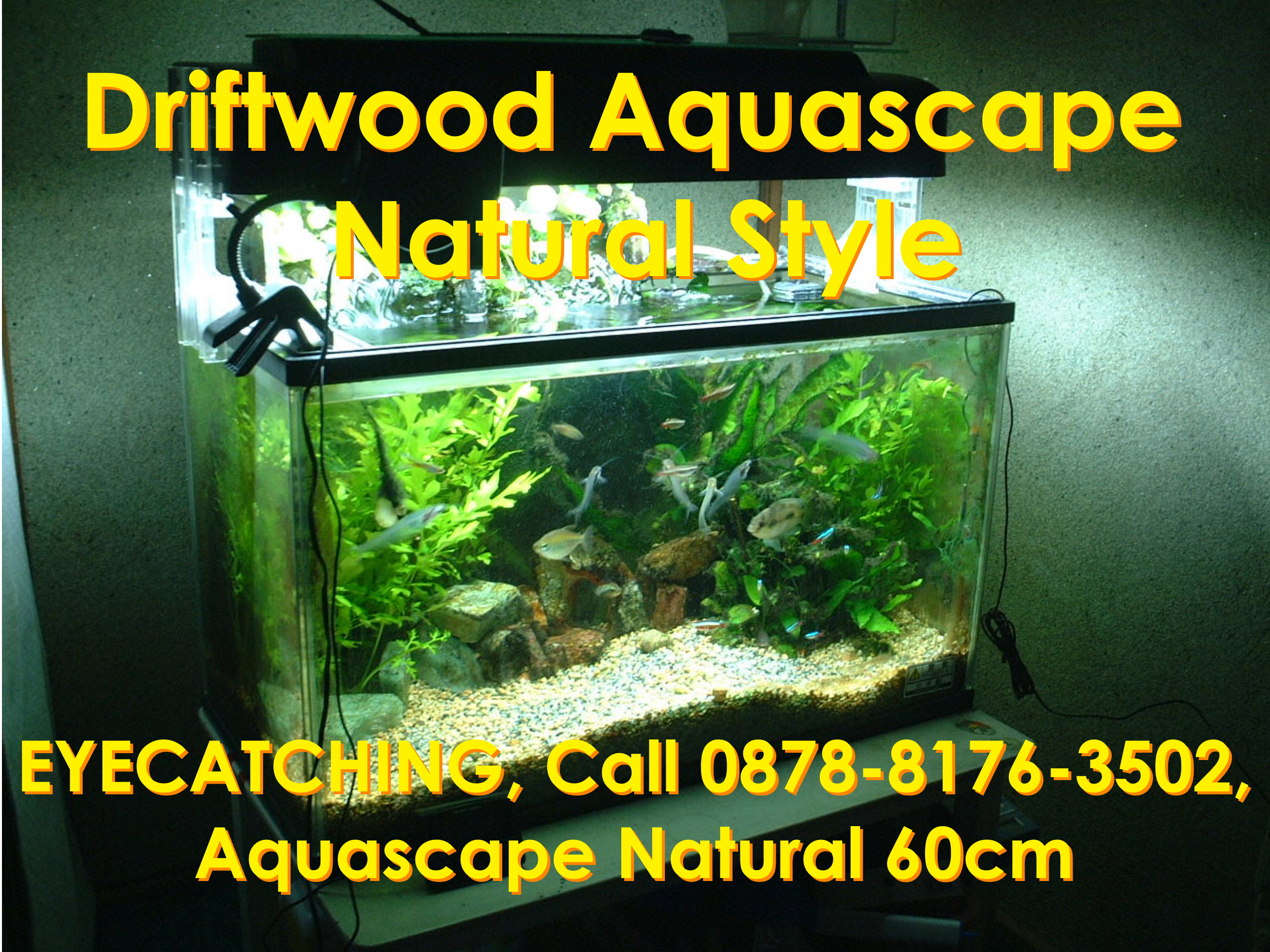 Detail Desain Aquascape Air Terjun Nomer 34