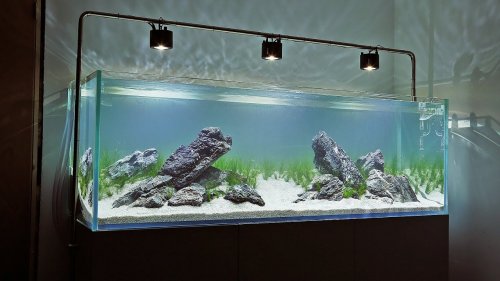 Detail Desain Aquascape Batu Dan Kayu Nomer 31