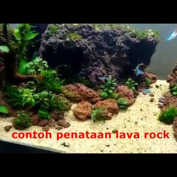 Detail Desain Aquascape Batu Lava Rock Nomer 12