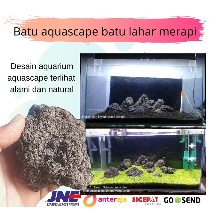 Detail Desain Aquascape Batu Lava Rock Nomer 15