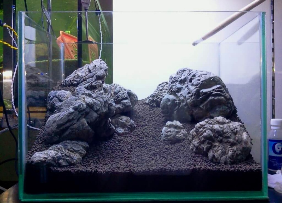 Detail Desain Aquascape Batu Lava Rock Nomer 25