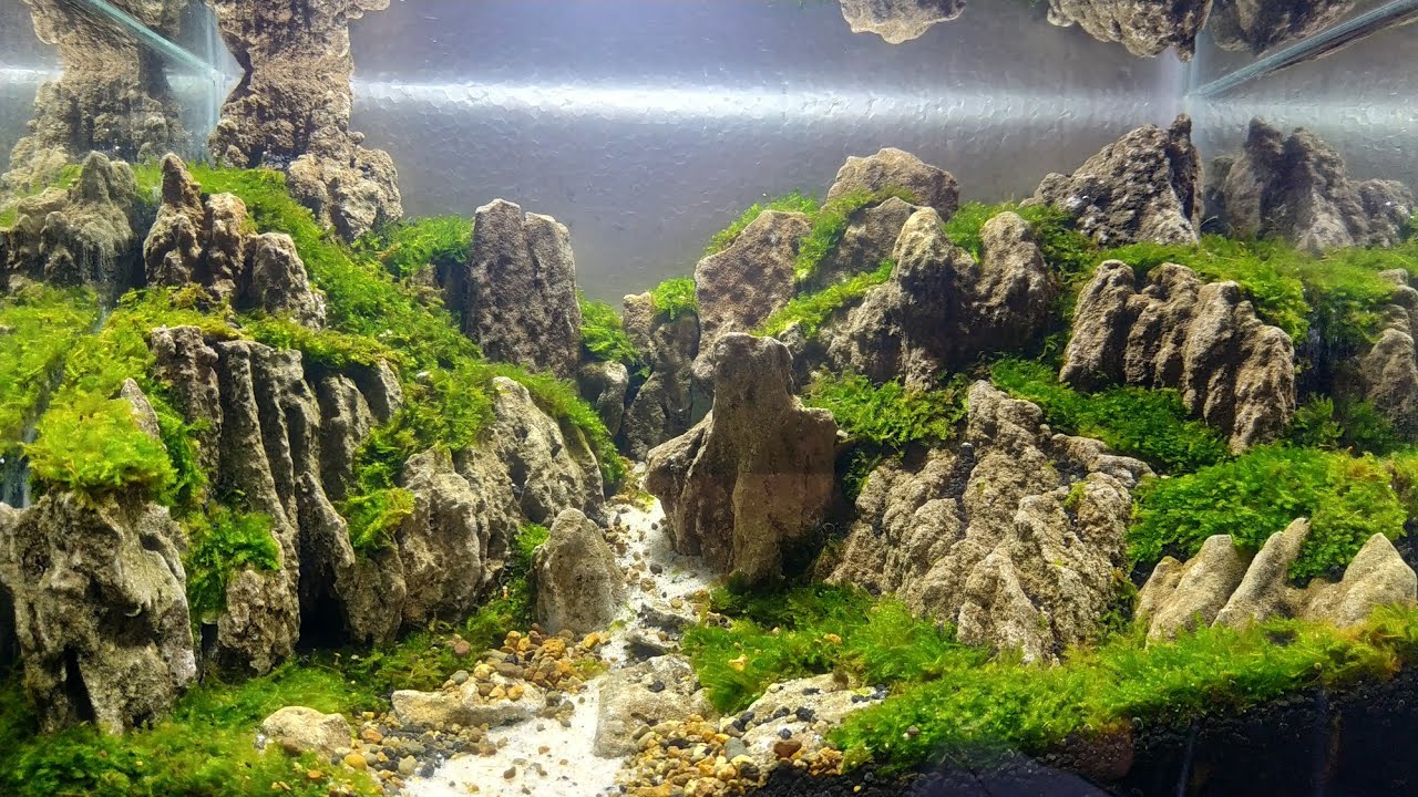 Desain Aquascape Batu Pasir - KibrisPDR