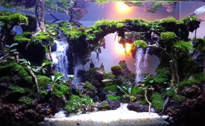 Detail Desain Aquascape Batu Pasir Nomer 16