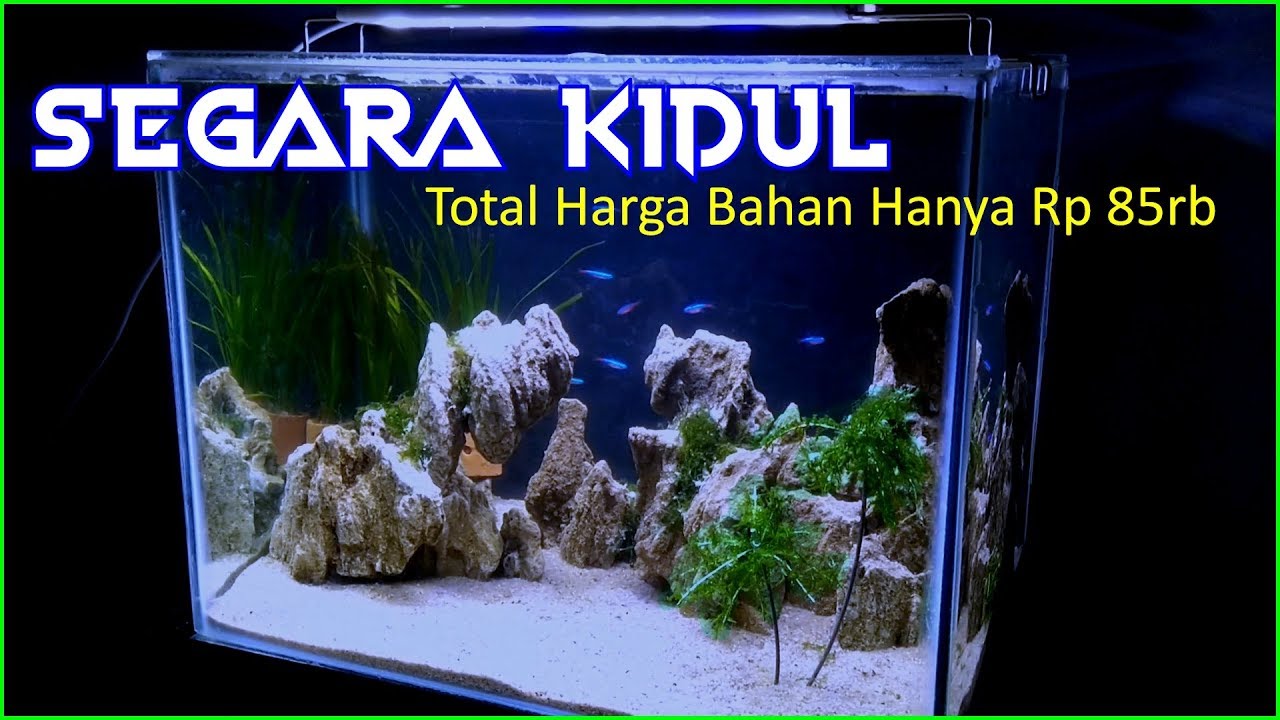 Detail Desain Aquascape Batu Pasir Nomer 23