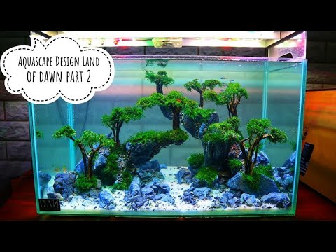 Detail Desain Aquascape Batu Pasir Nomer 33