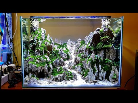 Detail Desain Aquascape Batu Pasir Nomer 10