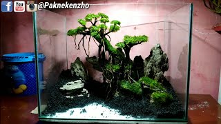 Detail Desain Aquascape Bonsai Nomer 13