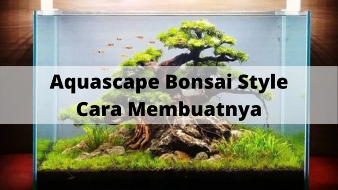 Detail Desain Aquascape Bonsai Nomer 38