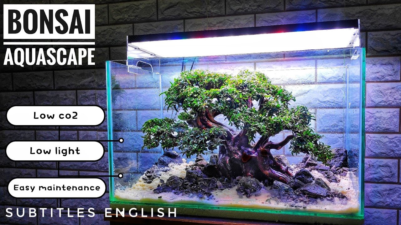 Detail Desain Aquascape Bonsai Nomer 39