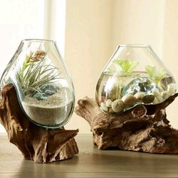 Detail Desain Aquascape Bulat Nomer 30