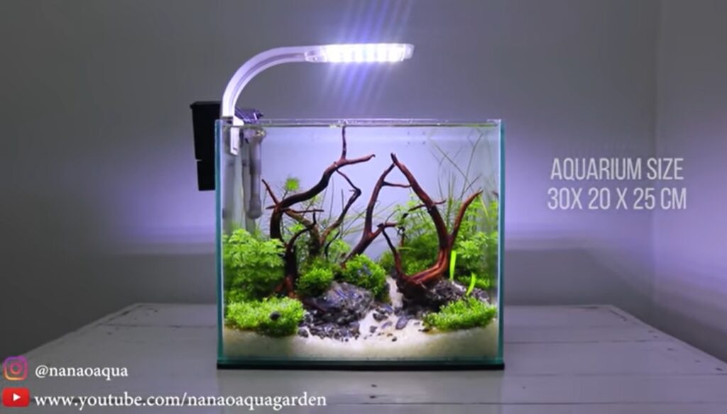 Detail Desain Aquascape Bulat Nomer 35