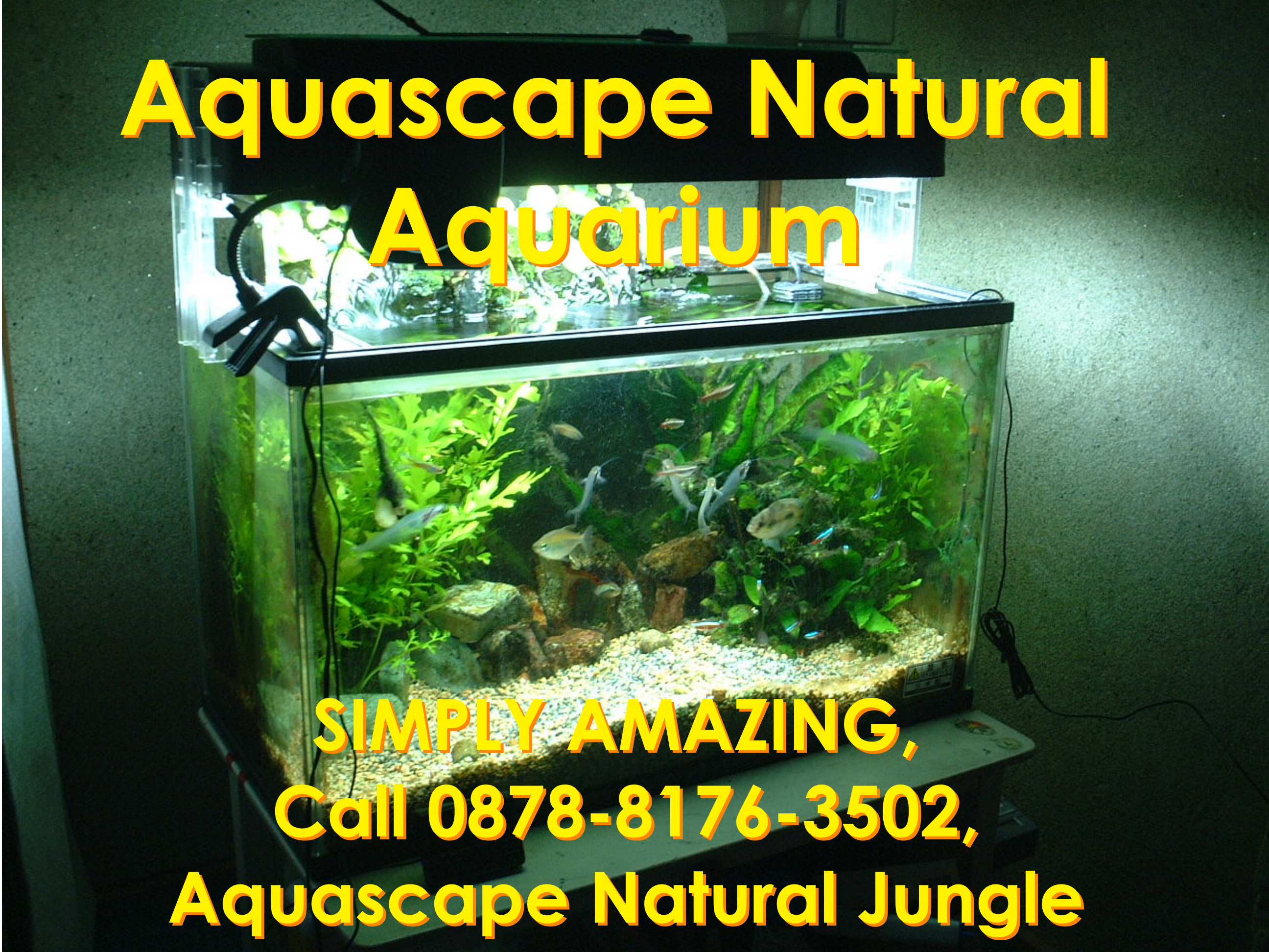 Detail Desain Aquascape Natural Nomer 29