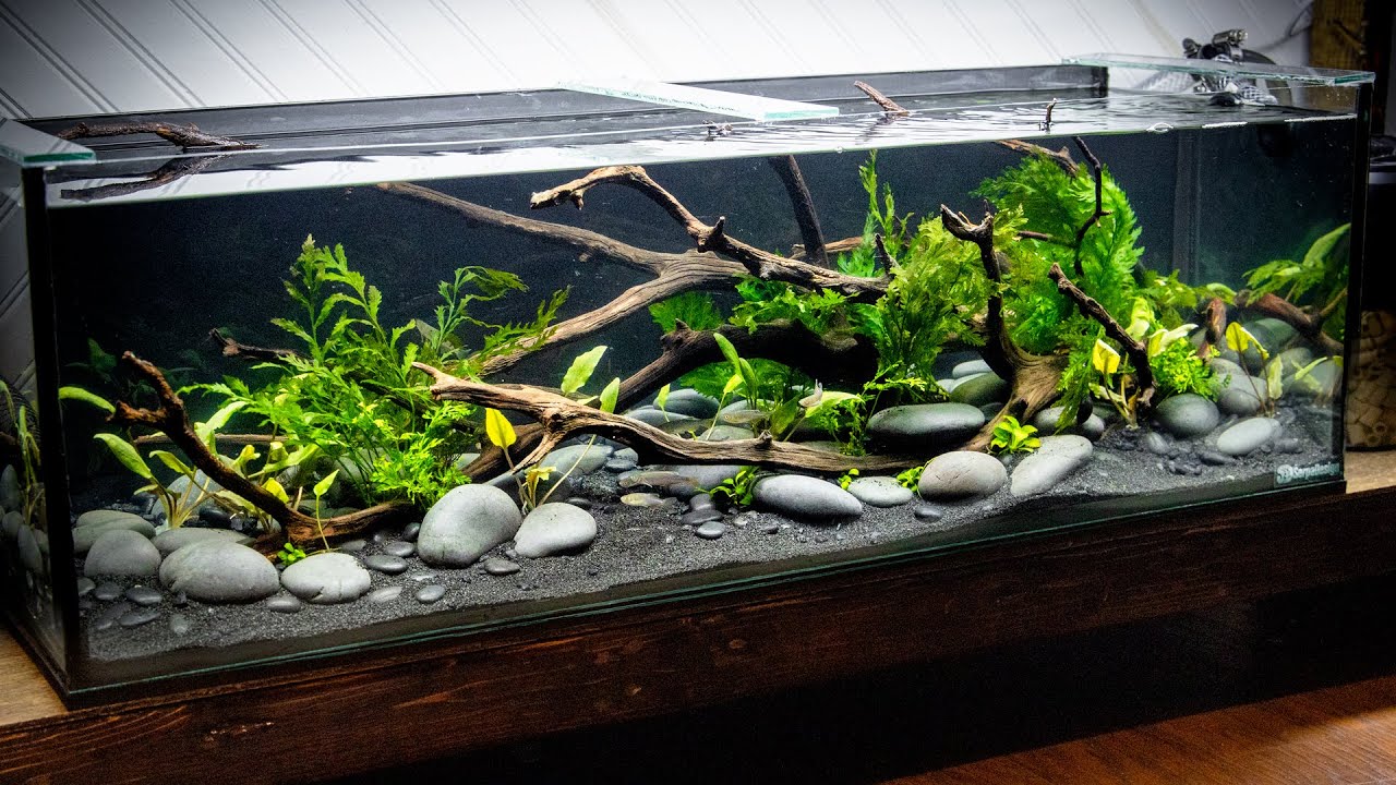 Detail Desain Aquascape Natural Nomer 43