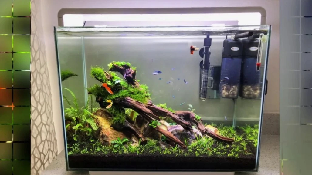 Detail Desain Aquascape Simple Nomer 42