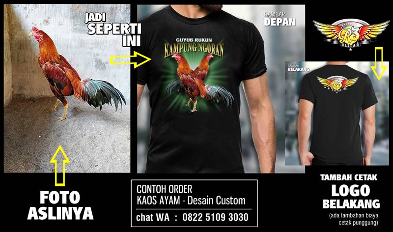 Detail Desain Ayam Jago Nomer 50