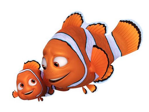 Detail Findet Nemo Qualle Nomer 10