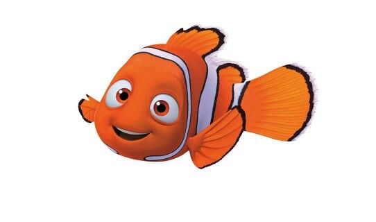 Detail Findet Nemo Qualle Nomer 12