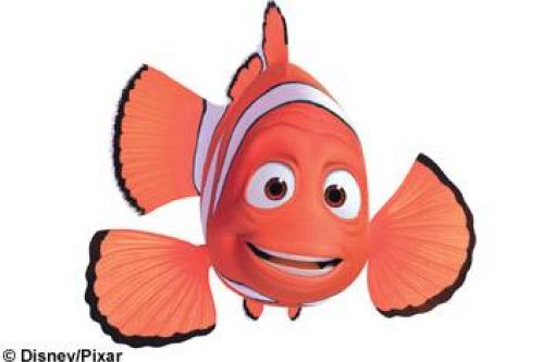 Detail Findet Nemo Qualle Nomer 13