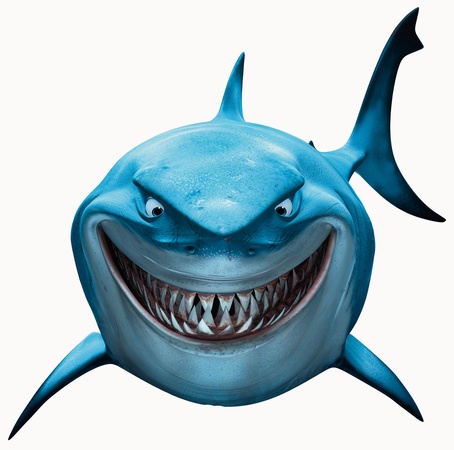 Detail Findet Nemo Qualle Nomer 2